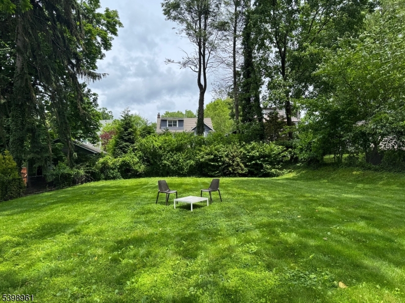 Backyard in summer