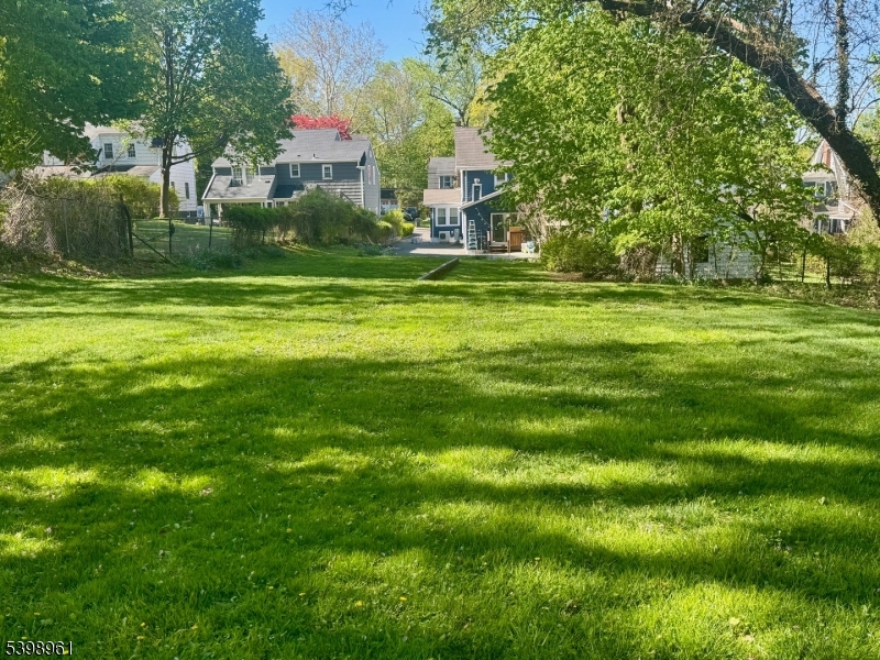 Backyard in summer