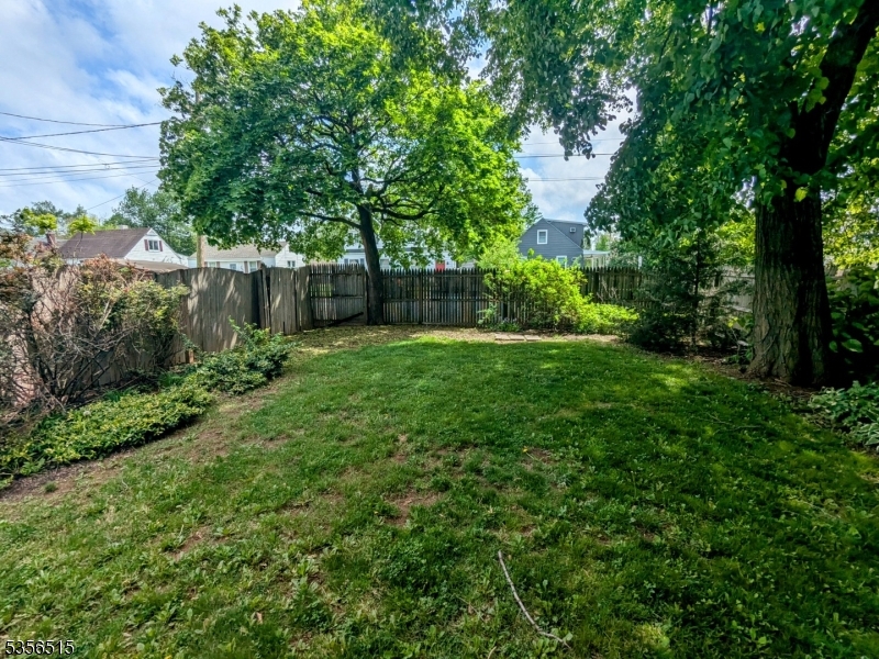 Yard