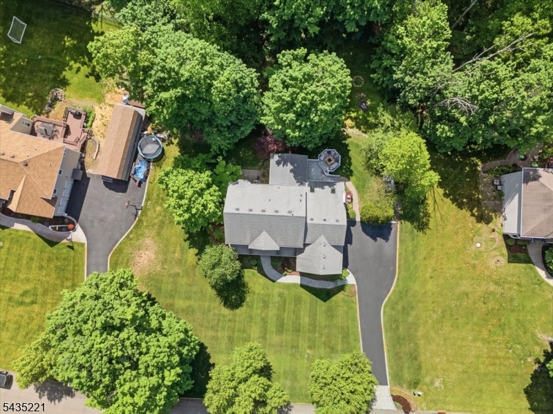 Aerial Viel
