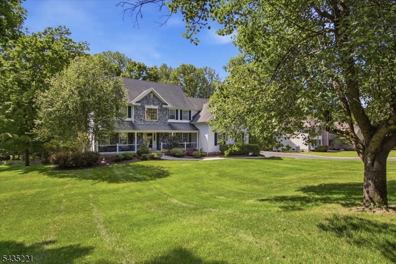 Beautiful Yard