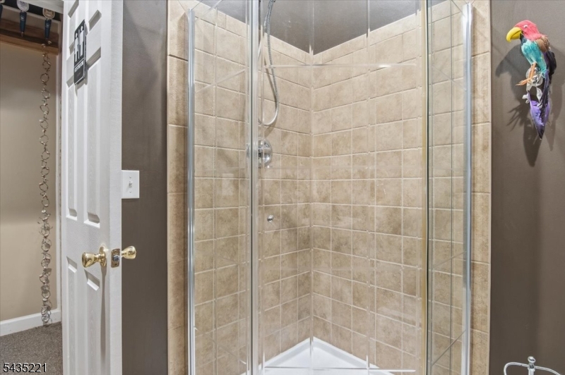 Full Bath- lower level