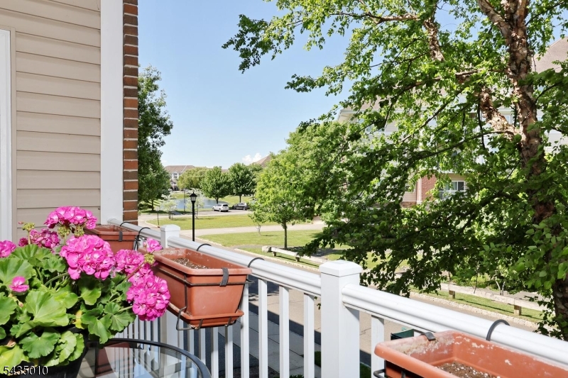 View from Porch