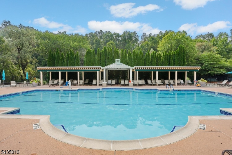 Outdoor pool and patio