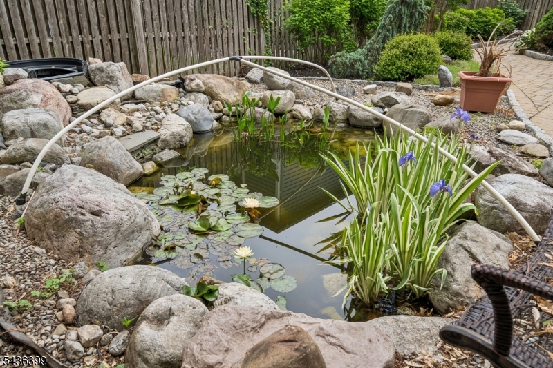 Koi Pond
