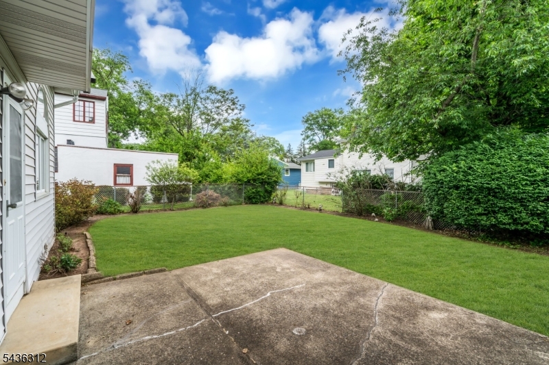 back yard