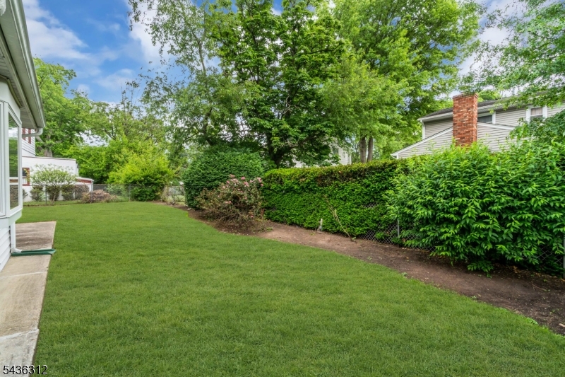 Back yard