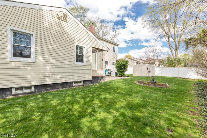 Back yard