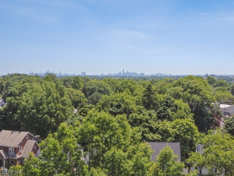 NYC Horizon