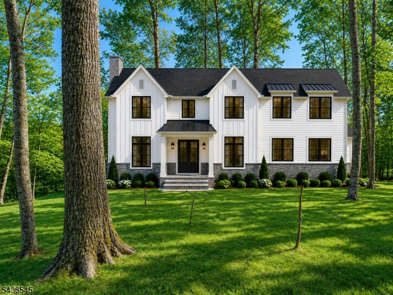 AI Generated Front Elevation
