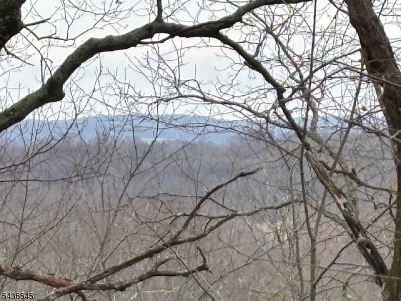View Towards Sparta