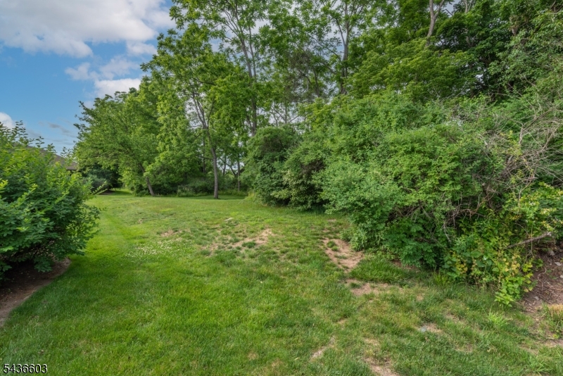 Common Yard Area