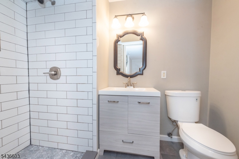 Updated Full Bath-Basement