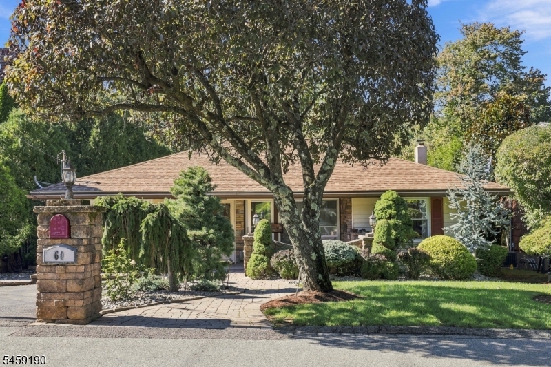 60 Comanche Ave