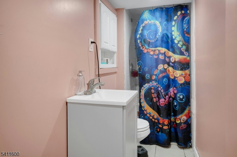 Basement Bathroom