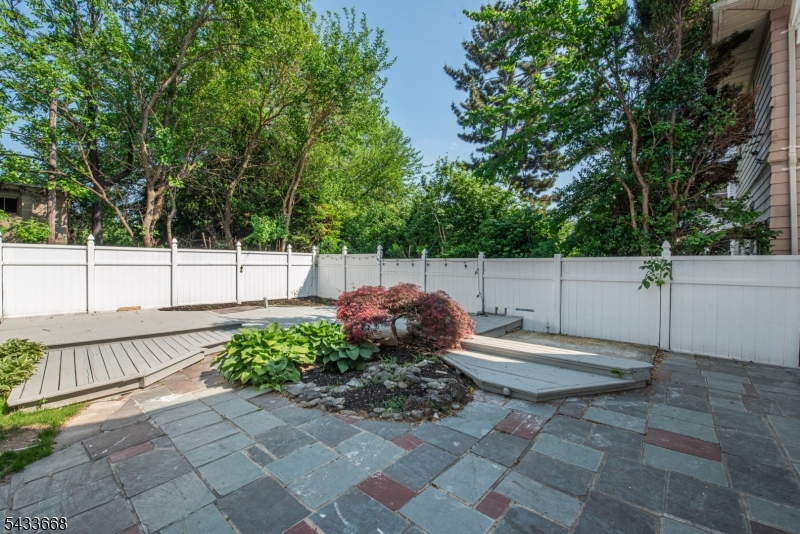 Shared Yard