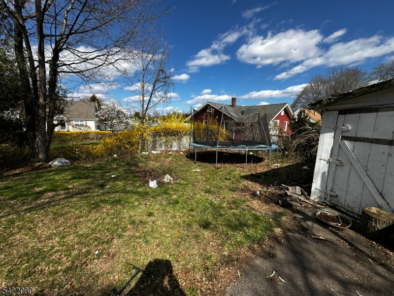Back yard