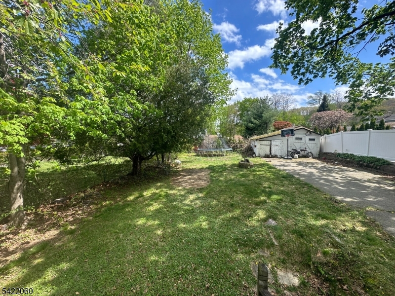 Back yard