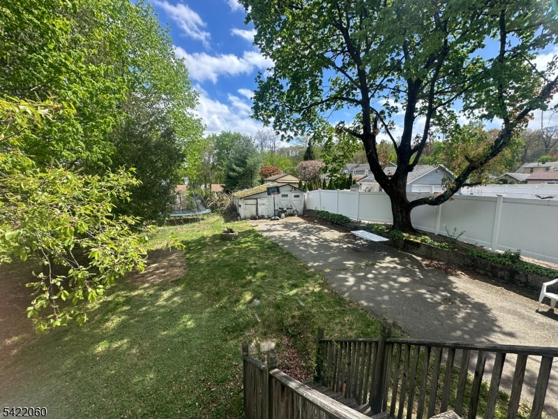 Back yard