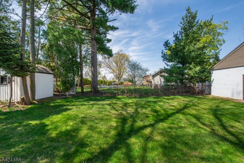 Yard