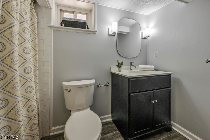 Lower Level Bath