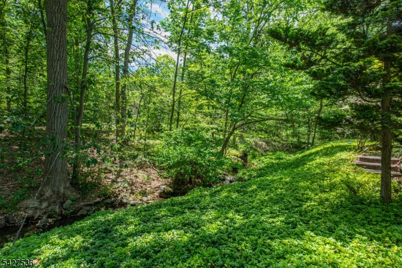 Surrounded by nature