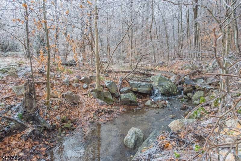 Babbling brook