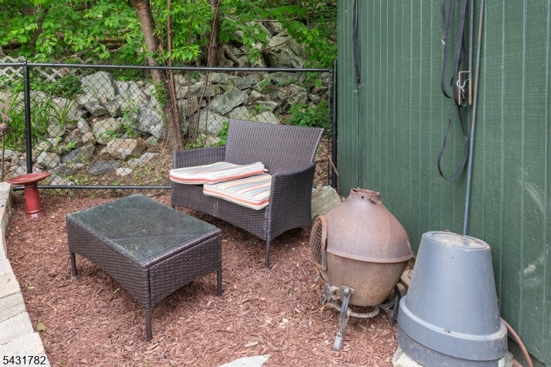 Back yard