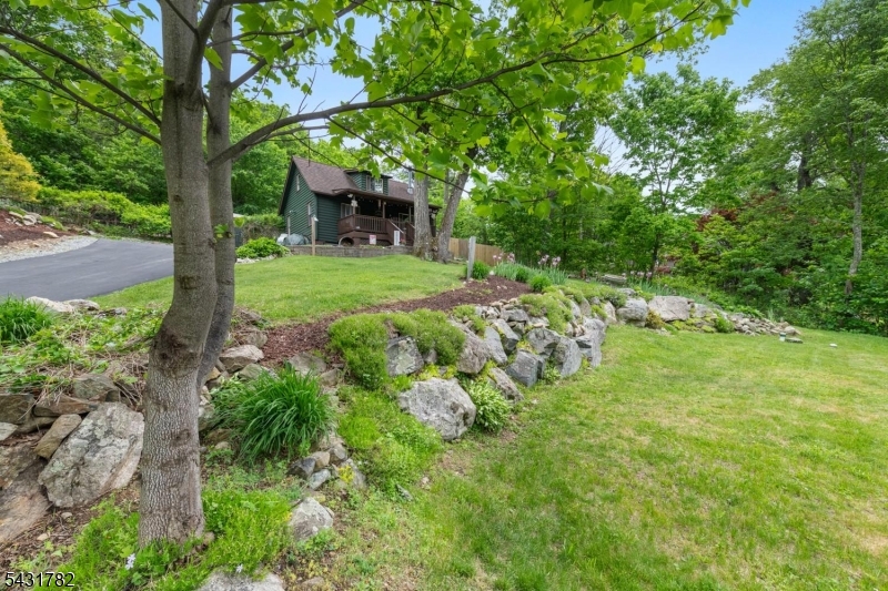Front yard