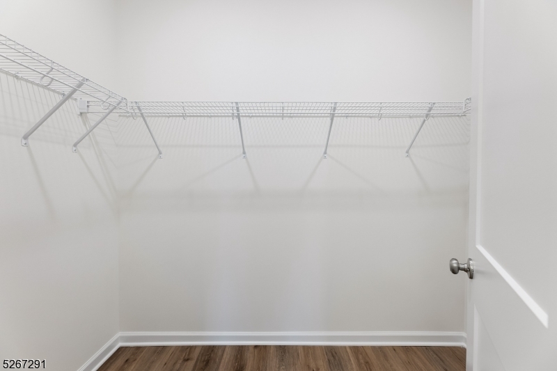 Walk-in Closet_Master