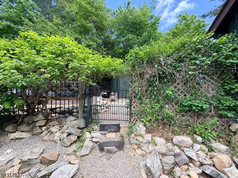 Gate to the Back yard