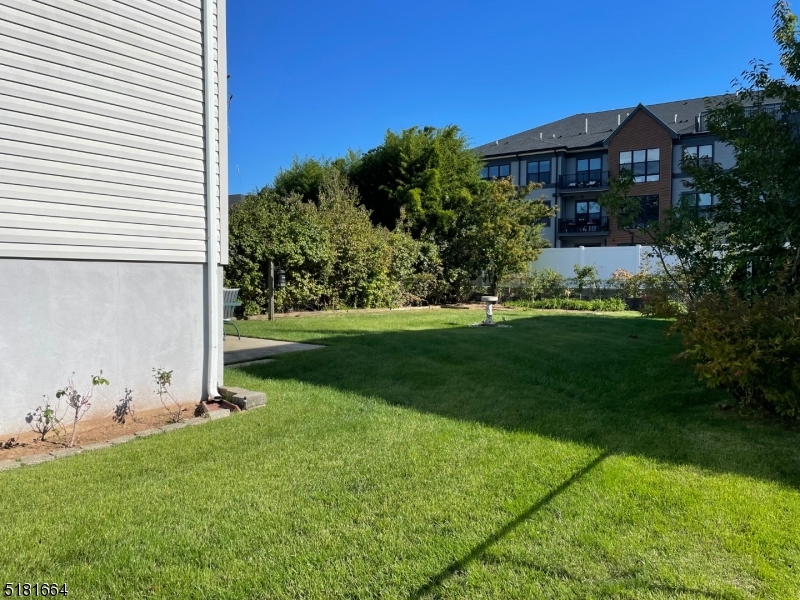 Side Back Yard