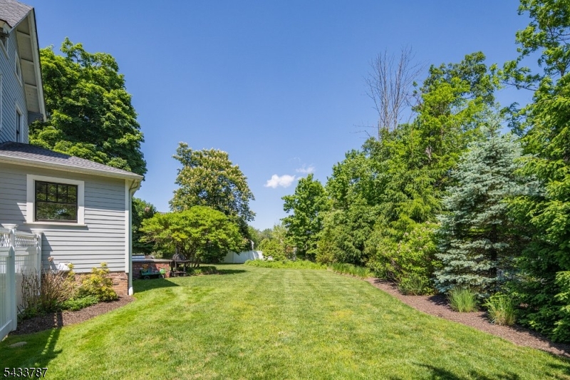 Rear Yard
