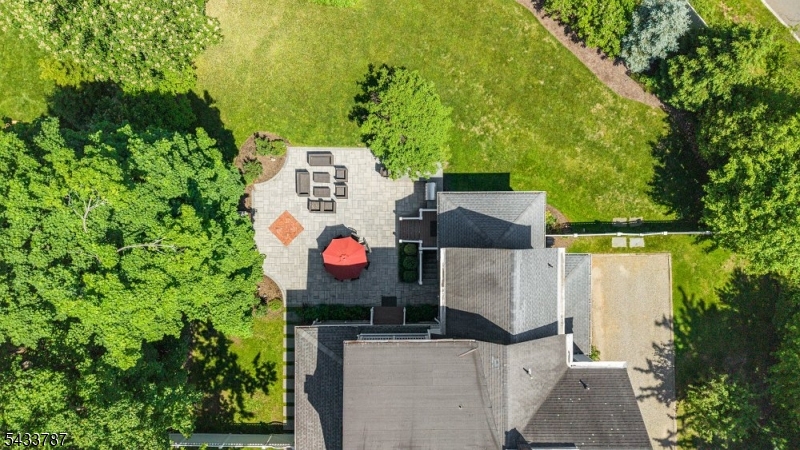 Aerial Rear
