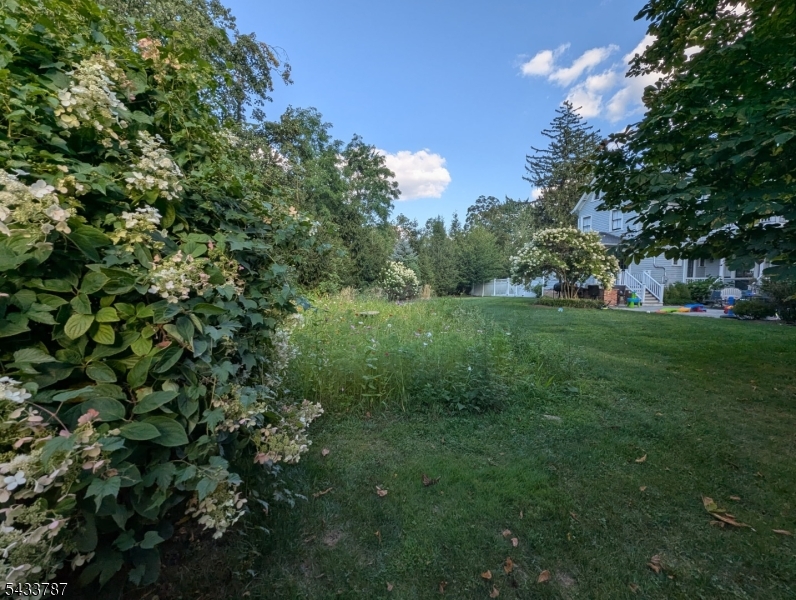wildflower garden