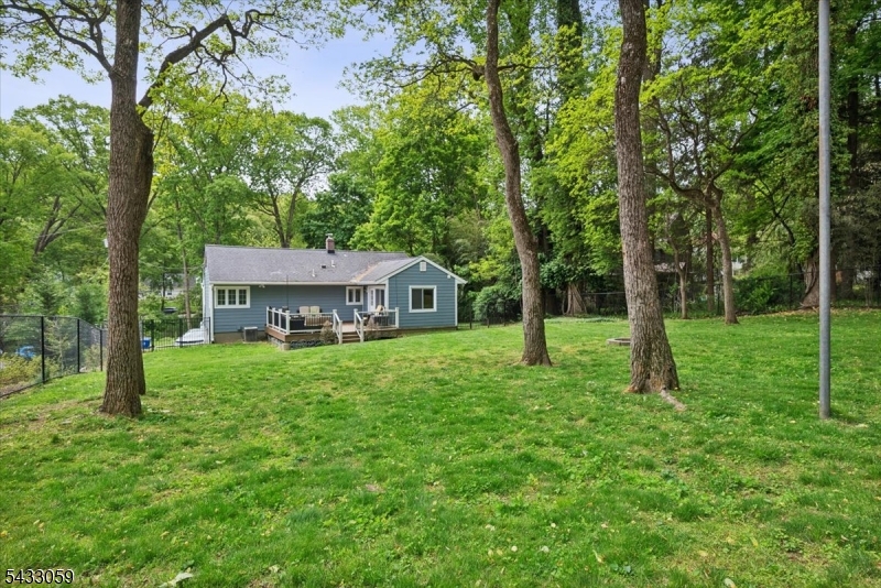 Backyard / Fully Fenced
