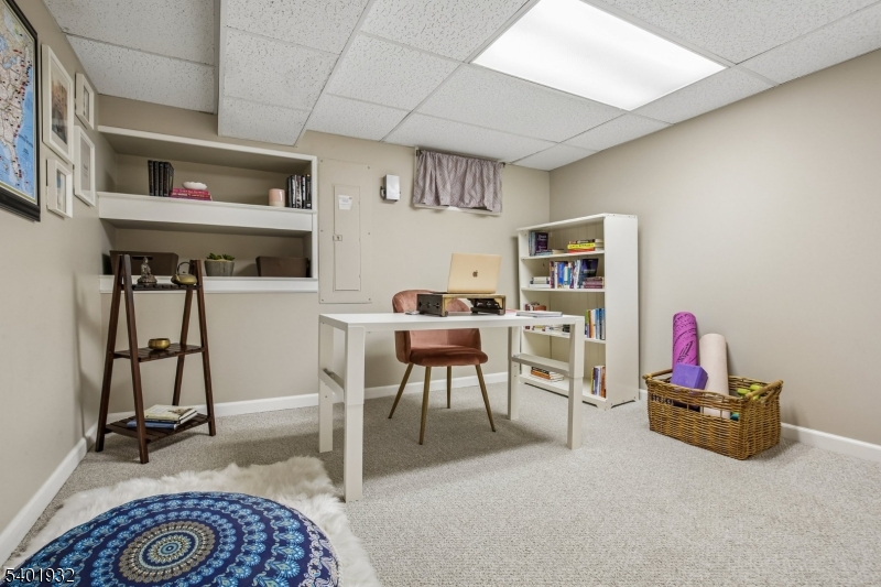 Basement/Home Office