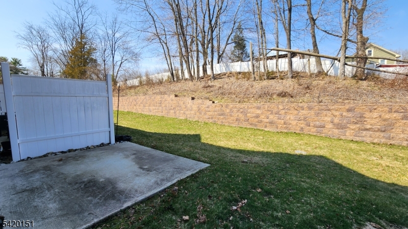 Back Patio/Yard