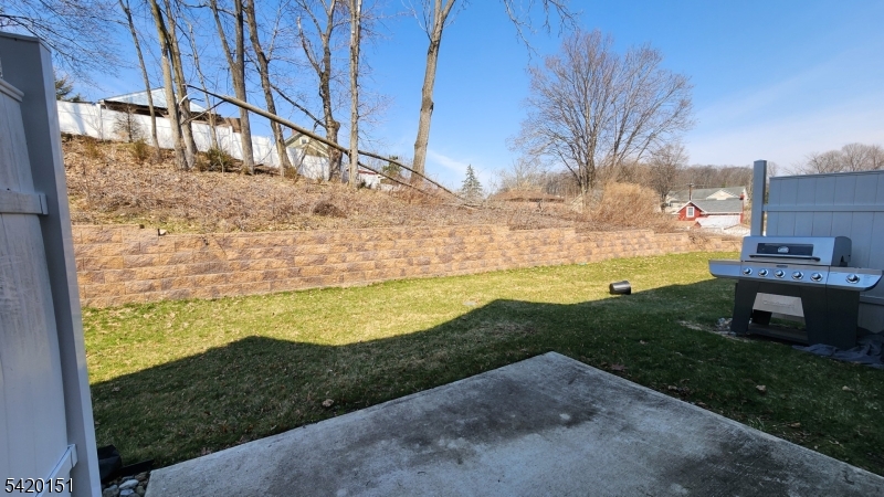 Back Patio/Yard