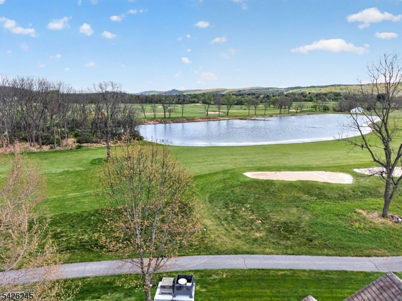 Pond View