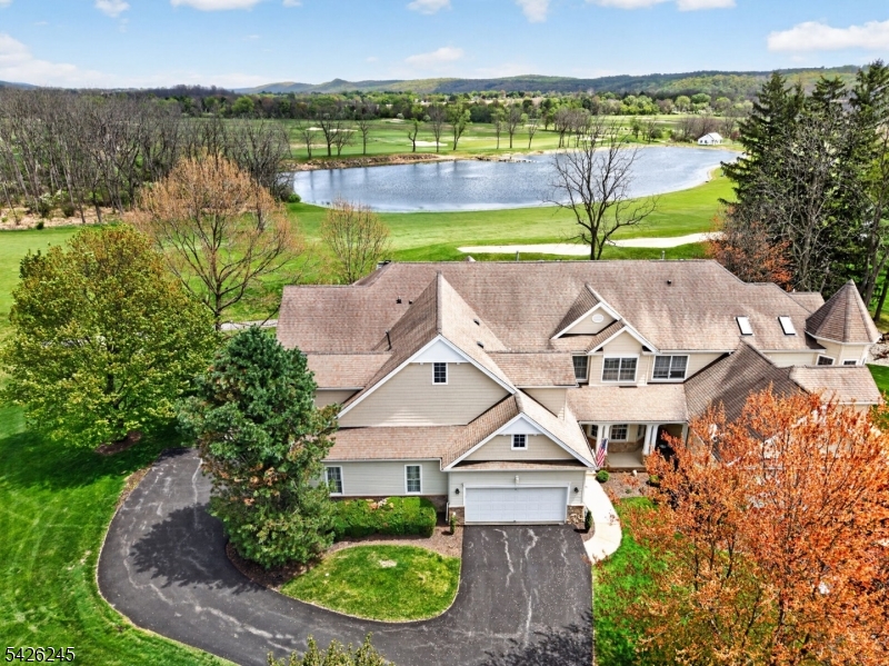 Aerial pond View