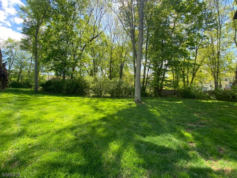 Grass area