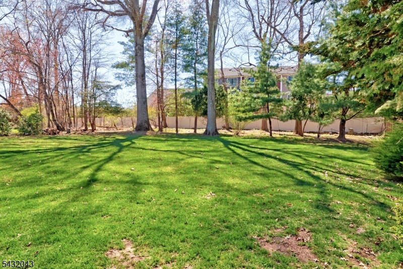 Large yard