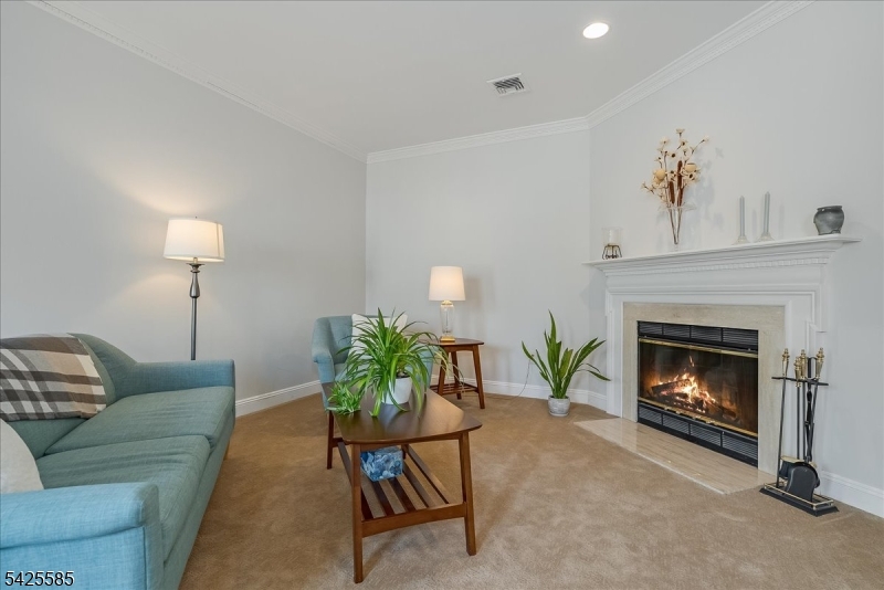 Elegant living room