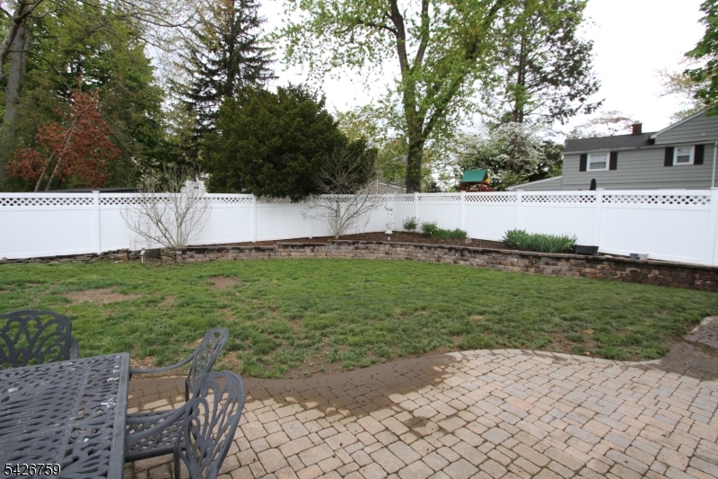 Back yard