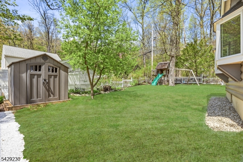 Shed and back yard