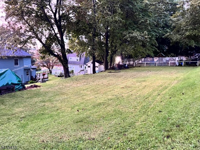 Back Yard Lawn