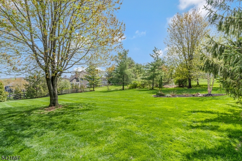 MANICURED BACKYARD