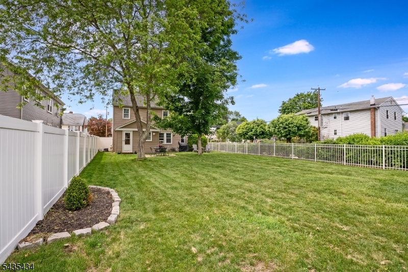 rear yard