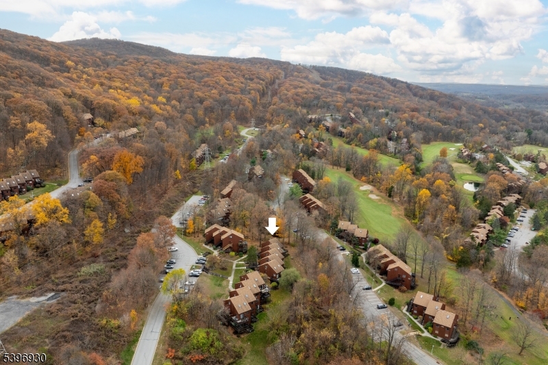 Aerial Shot
